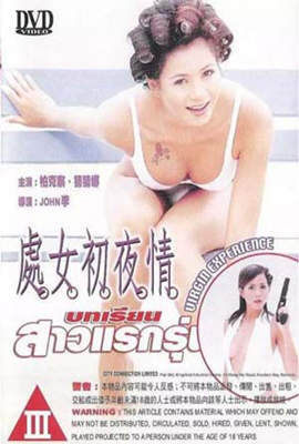 处女初夜情海报