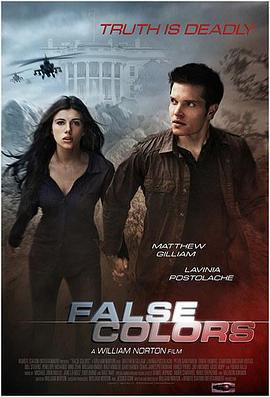 误色 False Colors (2020)海报