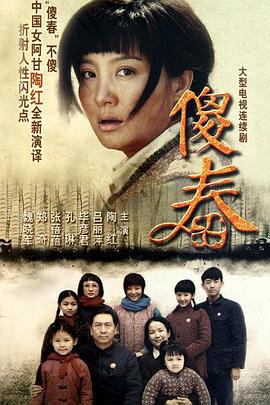 傻春 (2011)海报