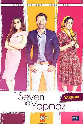 七件不该做的事 Seven Ne Yapmaz (2017)海报