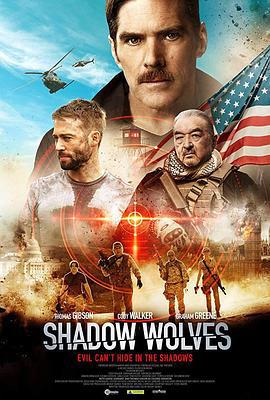 暗影出击 Shadow Wolves (2019)海报