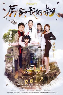厉害了我的叔 (2017)海报