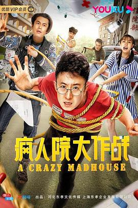 疯人院大作战 (2020)海报