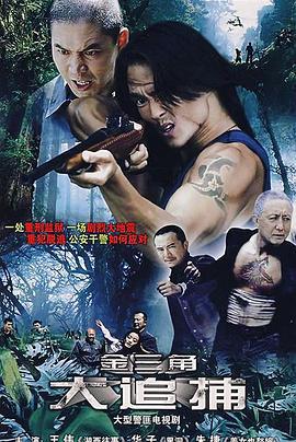 大追捕 (2008)海报