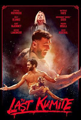 绝杀招式 The Last Kumite (2024)海报