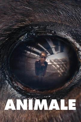 兽性 Animale (2024)海报
