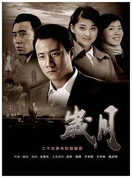 岁月 (2010)海报