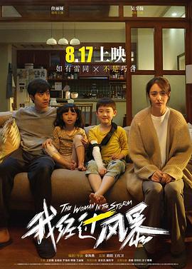 我经过风暴 (2023) tc海报