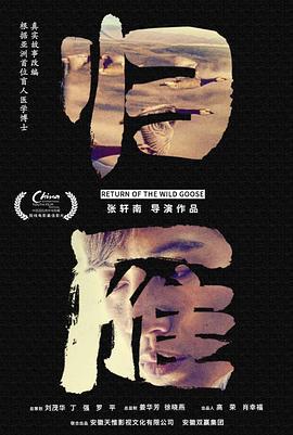 归雁 (2019)海报
