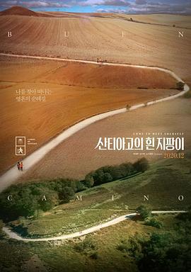 圣地亚哥的白拐杖 산티아고의 흰 지팡이 (2020)海报