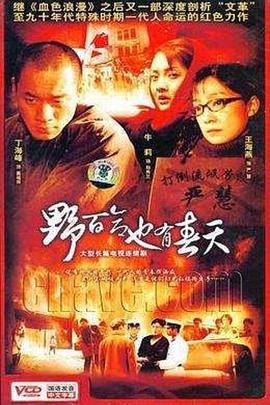 野百合也有春天 (2007)海报