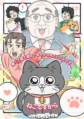 转生成猫的大叔 ねこに転生したおじさん (2024)海报