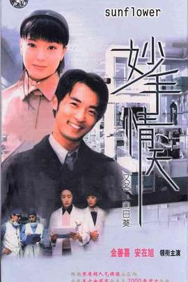 妙手情天 해바라기 (1998)海报