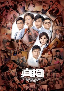 真相 (2011)海报