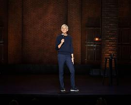 艾伦·德杰尼勒斯：请你许可 Ellen DeGeneres: For Your Approval (2024)海报