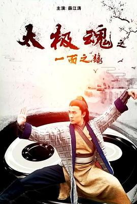 太极魂之一面之缘 (2017)海报