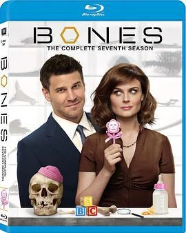 识骨寻踪 第七季 Bones Season 7 (2011)海报