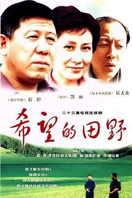 希望的田野 (2003)海报