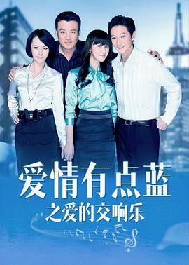 爱情有点蓝之爱的交响乐 (2011)海报