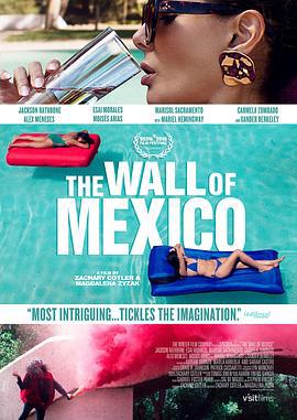 墨西哥围墙 The Wall of Mexico (2019)海报
