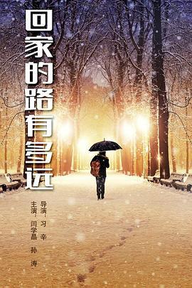 回家的路有多远 (2017)海报