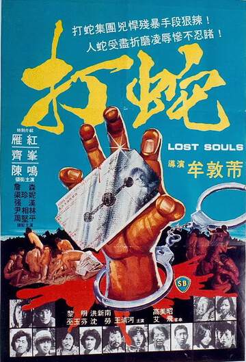 打蛇1980海报