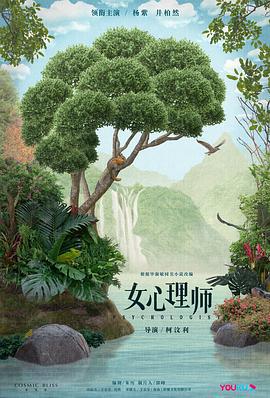 女心理师 (2021)海报