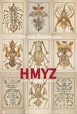 昆虫物语 Hmyz (2018)海报