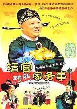 清官巧断家务事 (2008)海报