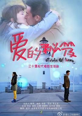 爱的秘笈 (2014)海报