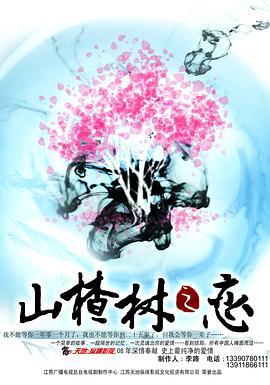 山楂树之恋 (2011)海报