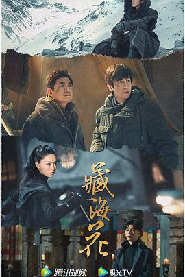 藏海花 (2024)海报
