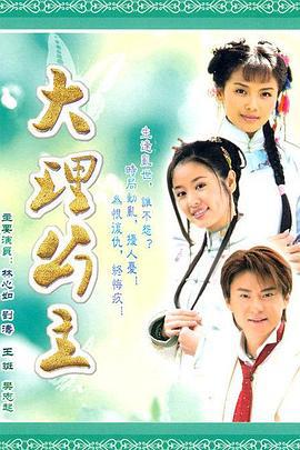 大理公主 (2009)海报