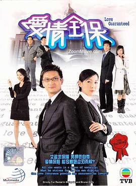 爱情全保 愛情全保 (2006)海报