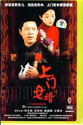 上门女婿 (2006)海报