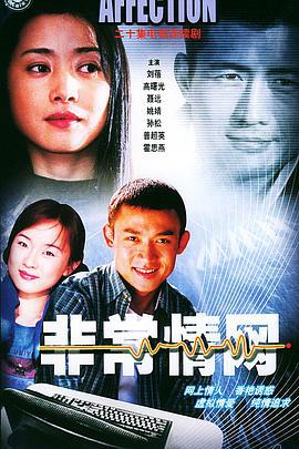 非常情网 (2001)海报