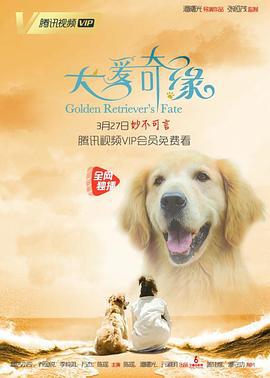 犬爱奇缘 (2019)海报