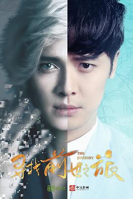 寻找前世之旅 (2017)海报