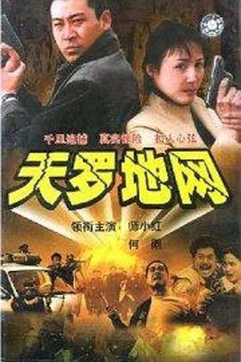 天罗地网 (2002)海报