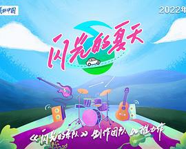 闪光的夏天 (2024)海报