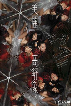 美丽高解像 (2009)海报