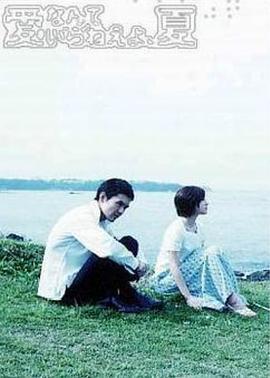 不需要爱的夏天 愛なんていらねえよ、夏 (2002)海报