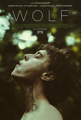 狼 Wolf (2021)海报