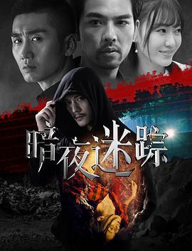 暗夜迷踪 (2020)海报