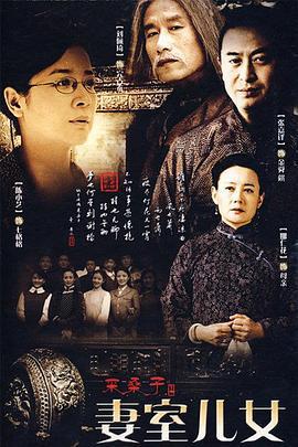 妻室儿女 (2009)海报
