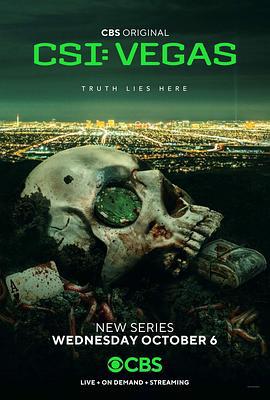 犯罪现场调查：维加斯 第一季 CSI: Vegas Season 1 (2021)海报