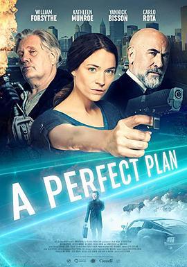 完美计划 A Perfect Plan (2020)海报