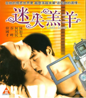 迷失羔羊之玉女性重伤海报