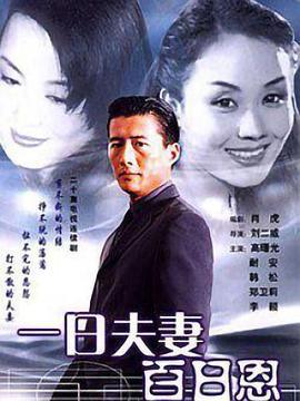 一日夫妻百日恩 (1998)海报