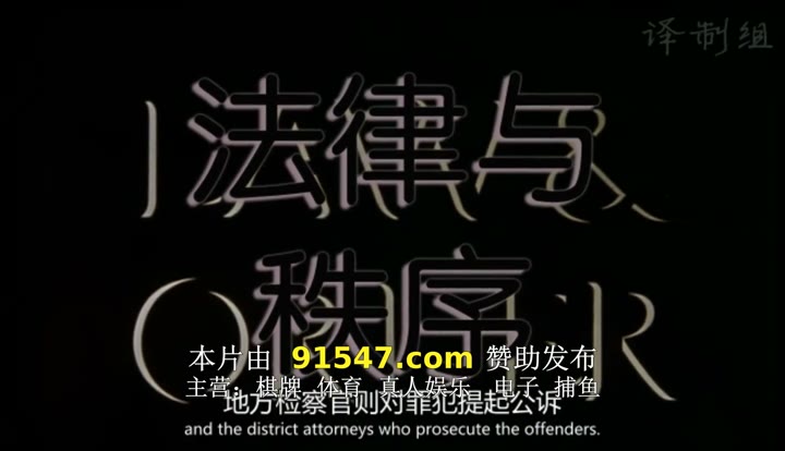 法律与秩序：特殊受害者 第十三季 Law & Order: Special Victims Unit Season 13 (2011)海报